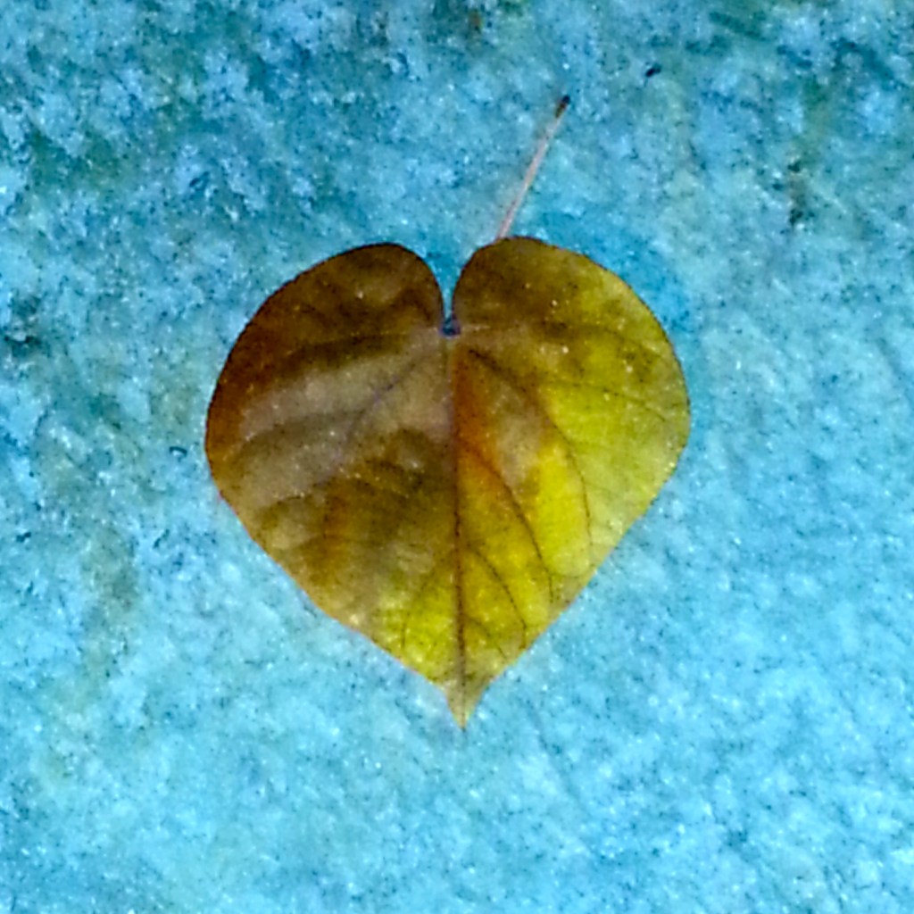 For Valentine’s Day: A Love Letter to My&nbsp;Friend